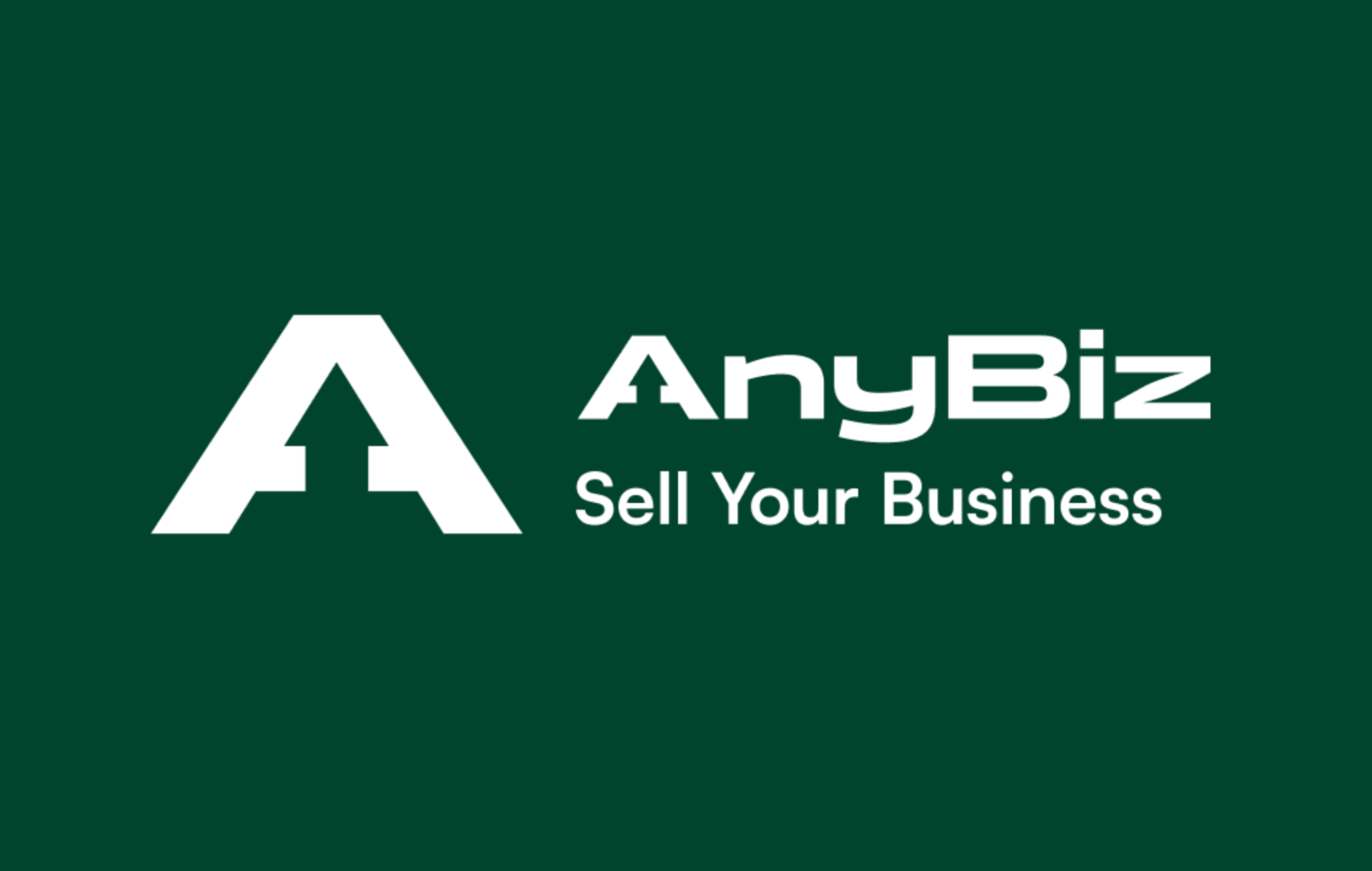 Anybiz landing page preview